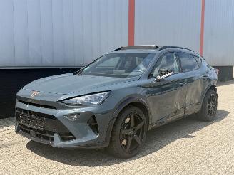 Cupra Formentor 2.0 VZ 245 KW AKRA  PANO SFEER picture 22