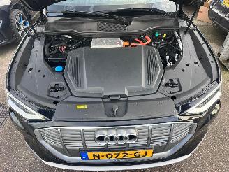 Audi E-tron 55 QUATTRO 95KWH PRO LINE PLUS picture 15