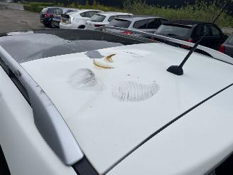 Nissan Qashqai 2.0 aut. picture 7