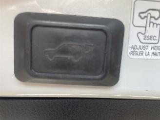 Toyota Rav-4 2.5 hybrid picture 9