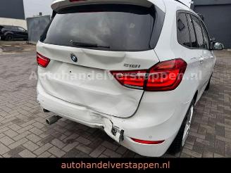 BMW 2-serie 18I Gran Coupé Advantage Automatik 7-sitzer picture 6