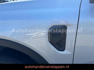 Ford Ranger Wildtrak e-4WD Doppelkabine picture 11
