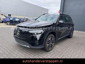 Mercedes EQB 250+ Business Line  71KWH 7Pers Facelift picture 1