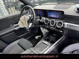 Mercedes EQB 250+ Business Line  71KWH 7Pers Facelift picture 25