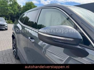 Volkswagen Tayron 1.5 eTSI 110KW DSG R-Line Sport picture 8