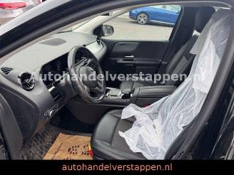 Mercedes B-klasse  picture 12