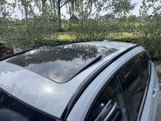 BMW 3-serie BMW 330e Touring M Sport PANORAMA HUD Ambiance 360view picture 13