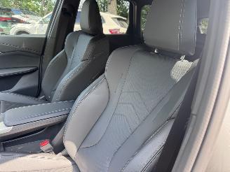 BMW iX1 MW iX1 20 eDrive M Sport  Ambiance Leder Camera Trekhaak picture 18