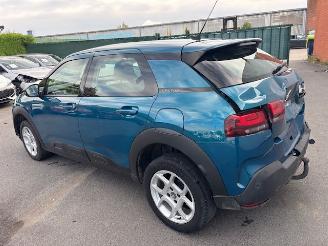 Citroën C4 cactus  picture 3