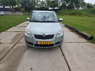 skadebil auto Skoda Fabia  2010/2