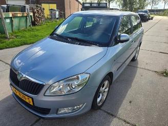 Skoda Fabia Fabia II Combi, Combi 5-drs, 2007 / 2014 1.2 TDI 12V Greenline picture 3