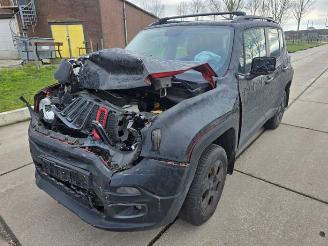 Jeep Renegade Renegade (BU), SUV, 2014 2.0 Mutlijet 140 16V 4x4 picture 3