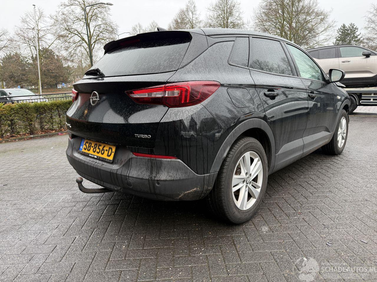 Opel Grandland 1.2 Turbo Online Edition (SUV 5-dr.)