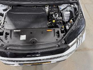 Peugeot e-3008 73kWh 157kW Allure Avantage picture 29