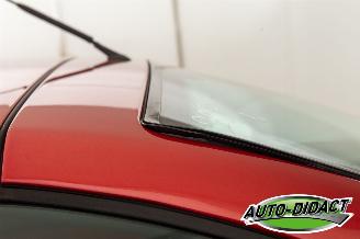 Peugeot 206 CC 2.0-16V Cabrio picture 31