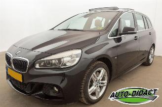 BMW 2-serie Gran Tourer 220i Automaat 7p Pano Leder Centennial High Executive picture 1