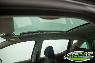Peugeot 207 SW 1.6 VTi Airco Pano Navi Première picture 28