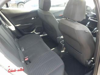 Peugeot 2008 1.2 PureTech Active Pack 102pk picture 13