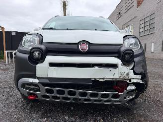 Fiat Panda CROSS picture 4