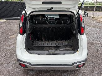 Fiat Panda CROSS picture 16