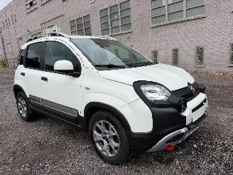 Fiat Panda CROSS picture 2