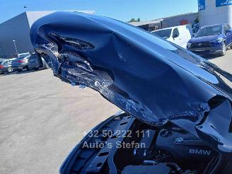 BMW X4 XDRIVE20D picture 29